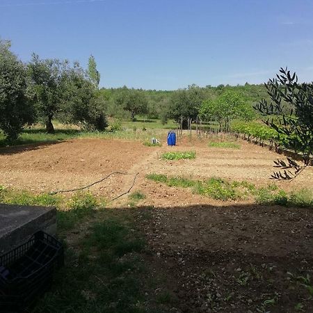Apartmani Sladic Skradin Exterior photo